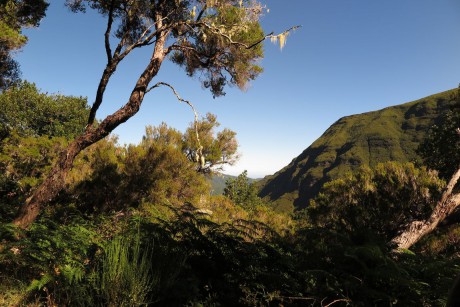 Madeira_2015_07_30 (10)_leváda Do Risco