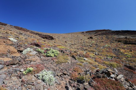 Madeira_2015_08_02 (24)_poloostrov Sao Lourenco