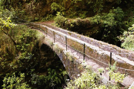 Madeira_2015_08_03 (4)_Levada do Caldeirao Verde