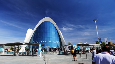 Oceanárium Valencia_2015_09_23 (3)