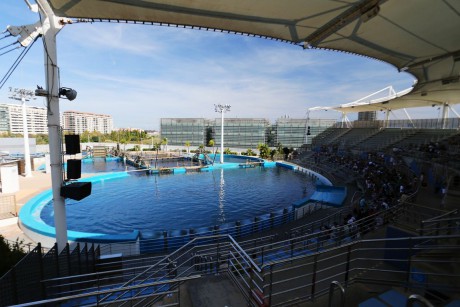 Oceanárium Valencia_2015_09_23 (69)