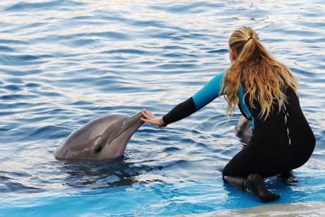 Oceanárium Valencia_2015_09_23 (76)