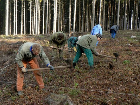 2008_04_sázení_Jilemnice (2).jpg