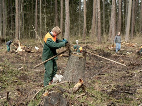 2008_04_sázení_Jilemnice (25).jpg