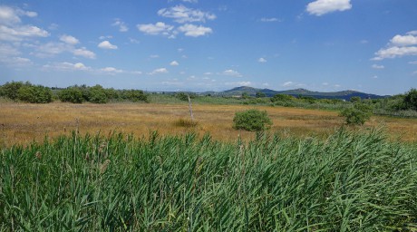 2017_07_Chorvatsko_Vranské jezero (13)