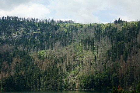 2018_07_09_Ze Železné Rudy přes jezera na Špičák_03_9