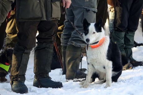 2018_01_11_Naháňka (10)