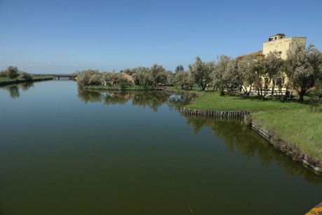 Comacchio_jezero (13)