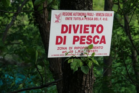 Riserva Naturale del Lago di Cornino (2)