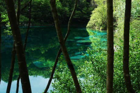 Riserva Naturale del Lago di Cornino (16)