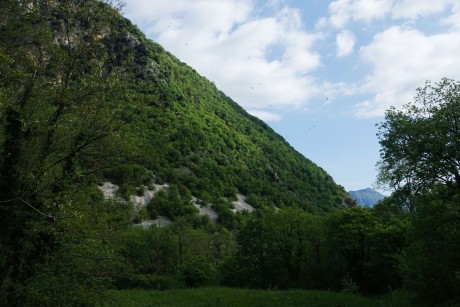 Riserva Naturale del Lago di Cornino (18)