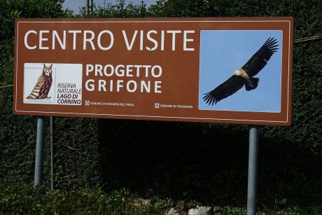 Riserva Naturale del Lago di Cornino (27)