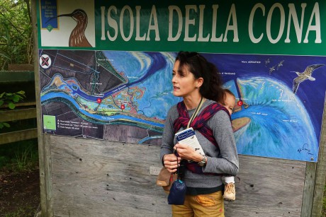 Riserva Naturale Regionale della Foce dell’Isonzo (2)