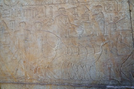 Egypt_Sakkára_Tomb of Ty_2022_10_0002