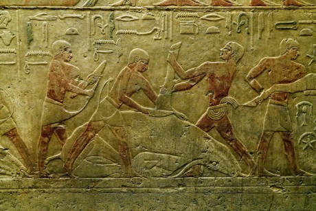Egypt_Sakkára_Tomb of Ty_2022_10_0007