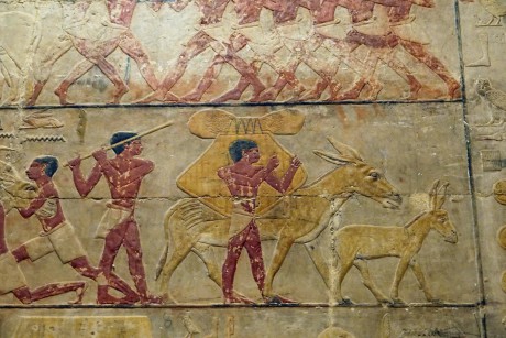 Egypt_Sakkára_Tomb of Ty_2022_10_0017