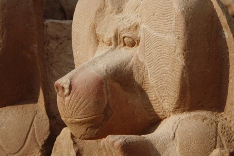 Egypt_Luxor_Ramesseum_2022_10_0035