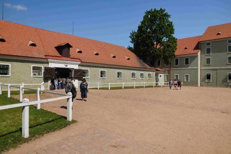 Krajina pro chov koní v Kladrubech nad Labem 2023_05_0027_result