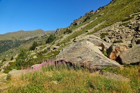 Andorra_Vall d'Incles_2022_07_25_009