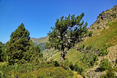 Andorra_Vall d'Incles_2022_07_25_010