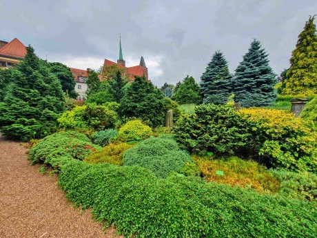 Botanická zahrada Wroclaw_2024_06_01_002_result