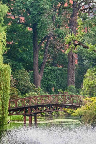 Botanická zahrada Wroclaw_2024_06_01_113_result