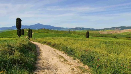 Val d'Orcia_2023_05_0014_1_result