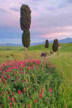 Val d'Orcia_2023_05_0014_2_result