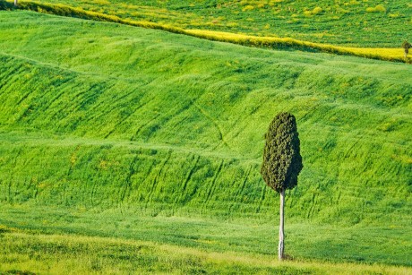 Val d'Orcia_2023_05_0014_3_result