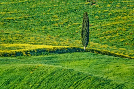 Val d'Orcia_2023_05_0014_4_result