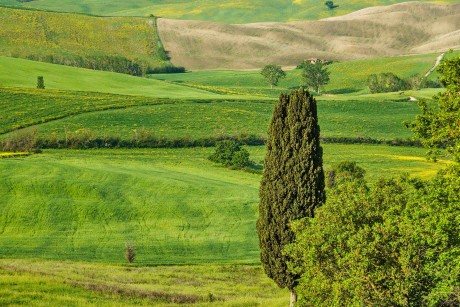 Val d'Orcia_2023_05_0014_5_result