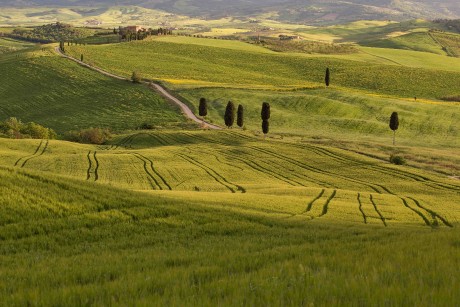 Val d'Orcia_2023_05_0014_result