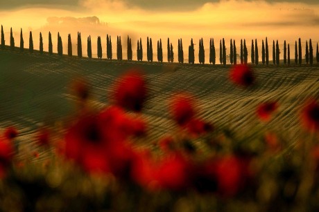 Val d'Orcia_2023_05_0016_result