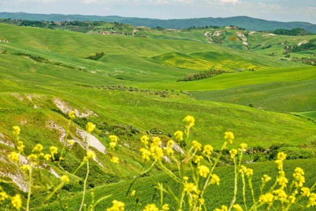 Val d'Orcia_2023_05_0025_2_result