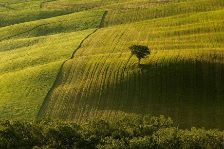 Val d'Orcia_2023_05_0034_result