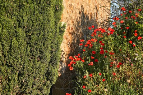 San Quirico d'Orcia (067)_result