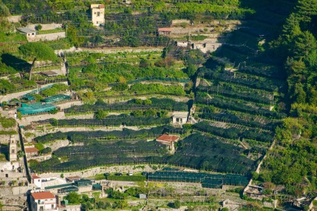 Ravello_2025_10_citroníkové plantáže_052 (1)