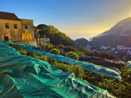 Ravello_2025_10_citroníkové plantáže_052 (2)