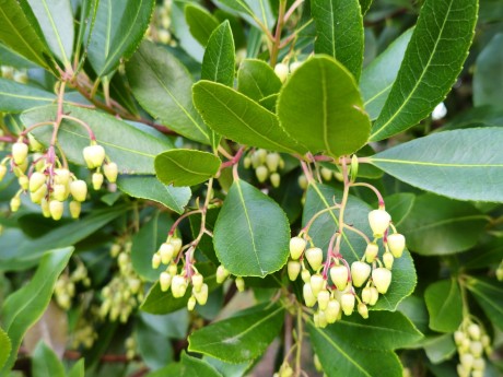 Ravello_Villa Cimbrone_2025_10_016