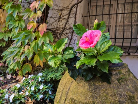 Ravello_Villa Rufolo_2025_10_002