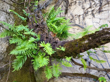 Ravello_Villa Rufolo_2025_10_004