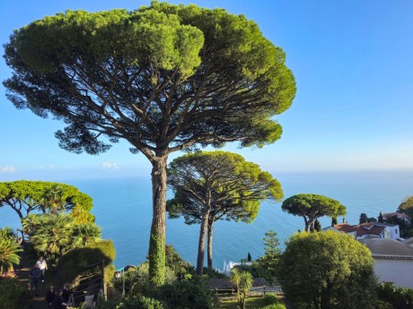 Ravello_Villa Rufolo_2025_10_010