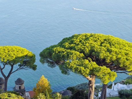 Ravello_Villa Rufolo_2025_10_026