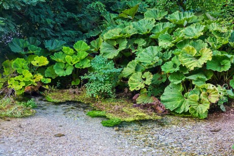 Albánie_Syri i Kaltër_Modré oko_2019_07_008