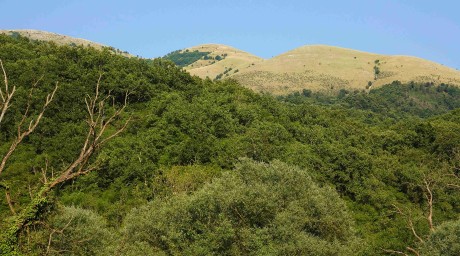 Albánie_Syri i Kaltër_Modré oko_2019_07_011