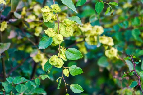 Albánie_Syri i Kaltër_Modré oko_2019_07_013