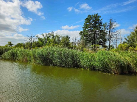 Elblagský kanál_ 2025_06_30_004