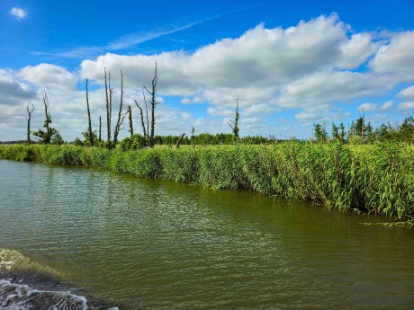 Elblagský kanál_ 2025_06_30_005