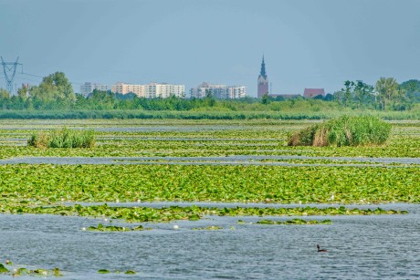 Elblagský kanál_ 2025_06_30_011