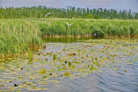 Elblagský kanál_ 2025_06_30_012